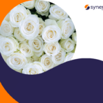 Urlop okolicznościowy w polskim prawie pracy – praktyczne spojrzenie HR